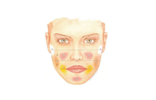 Antlitzdiagnose Homepage 03.png